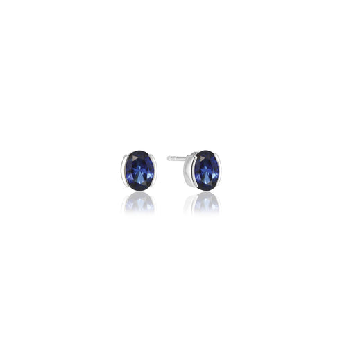 Ellise Carezza Earrings Silver Blue