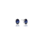 Ellise Carezza Earrings Silver Blue