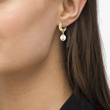 Load image into Gallery viewer, BOSS Leah light yellow gold IP Freshwater Pearl Earrings
