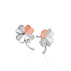Clogau® Pob Lwc Stud Earrings