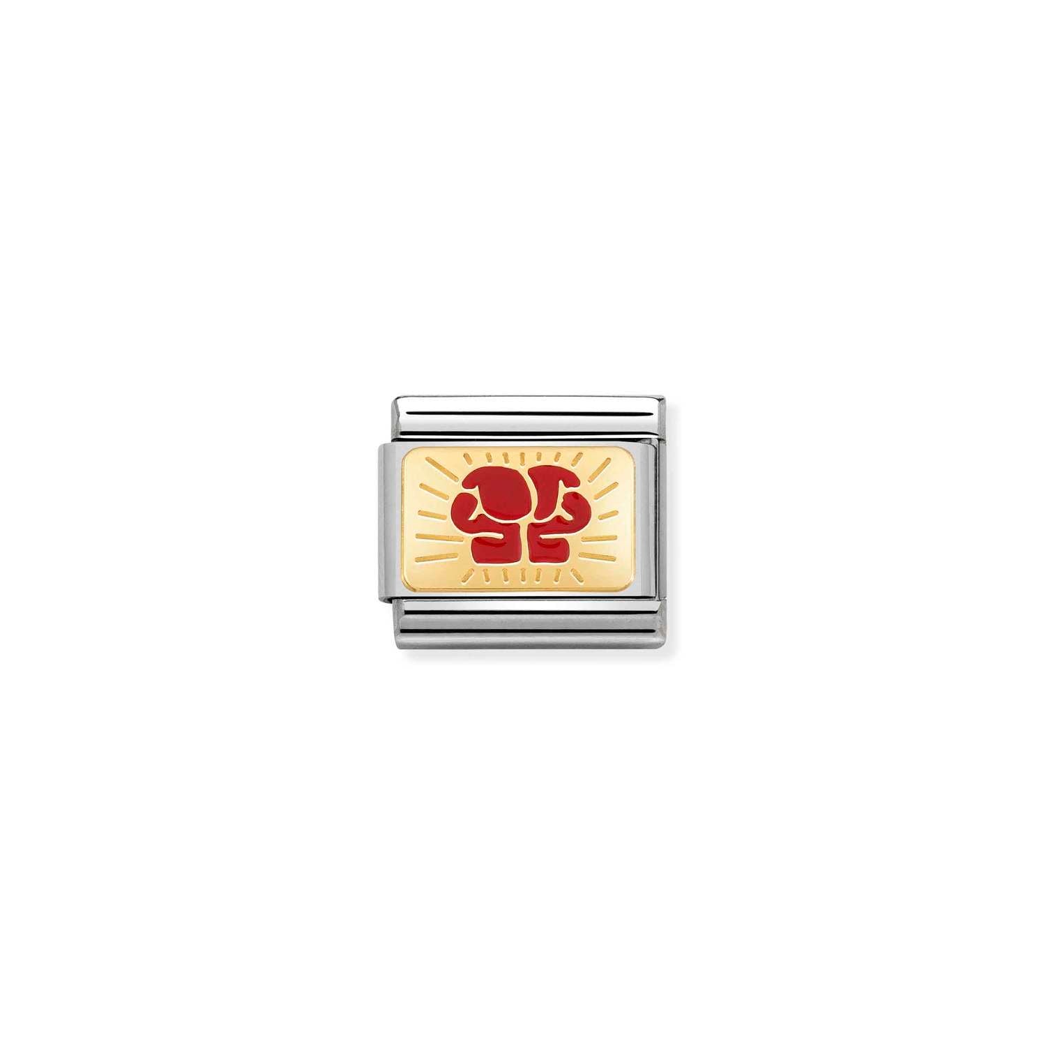Nomination Classic Gold Boxe Charm
