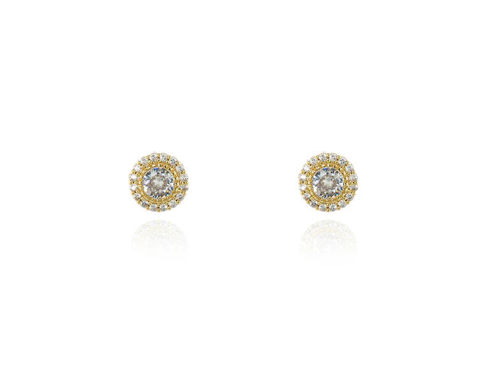 Cachet Fidelity Gold Earrings