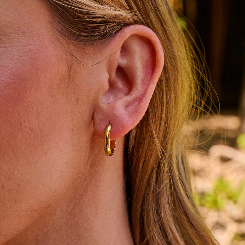 AVA & SKY Hoop Gold Plated Waterproof Earrings