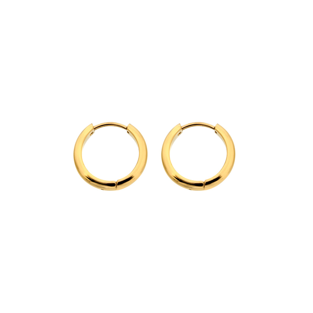 AVA & SKY Hoop Gold Plated Waterproof Earrings