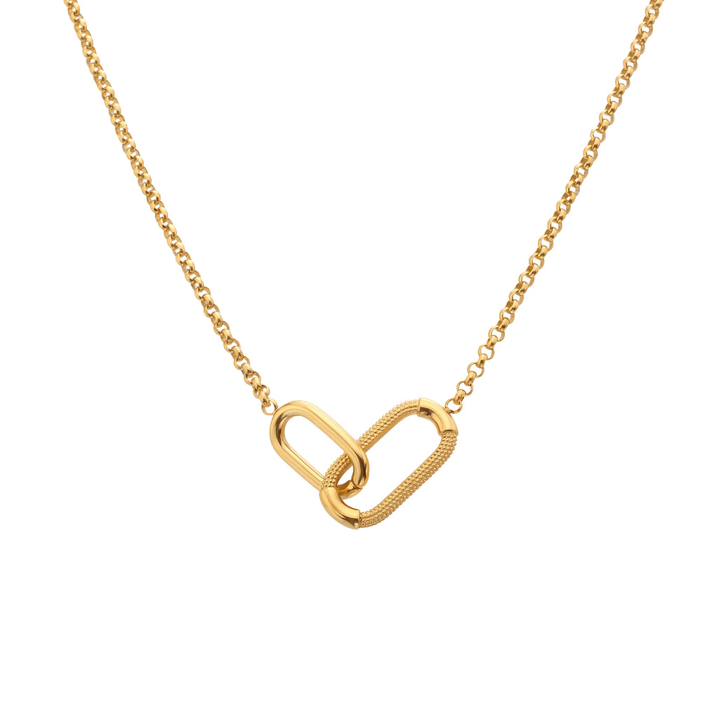 AVA & SKY Icon Gold Plated Waterproof Carabiner Necklace