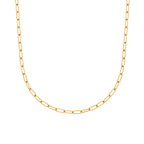 AVA & SKY  Paperclip Gold Plated Waterproof Necklace