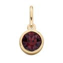 Gold Plated Crystal Birthstone Charm