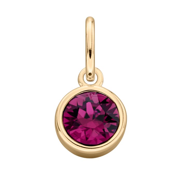 Gold Plated Crystal Birthstone Charm