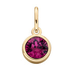 Gold Plated Crystal Birthstone Charm