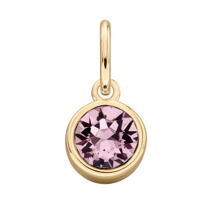 Gold Plated Crystal Birthstone Charm