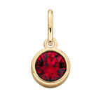 Gold Plated Crystal Birthstone Charm