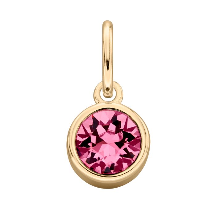 Gold Plated Crystal Birthstone Charm