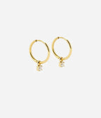 ZAG Bijoux Shinny Earrings