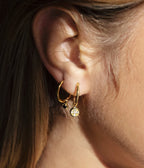 ZAG Bijoux Shinny Earrings