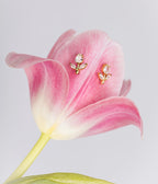 Zag Bijoux Circee Earrings