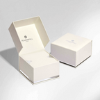 Nomination Paris Rectangular watch Silver with Stones