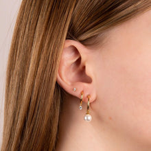 Load image into Gallery viewer, Assembled Hoop Earrings With Shell Pearl In Yellow Gold Plating E6301

