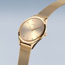 Load image into Gallery viewer, Bering Watch 17031-333
