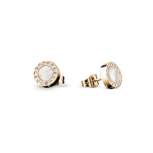 Load image into Gallery viewer, Bering Earrings | Polished Gold | 707-259-05
